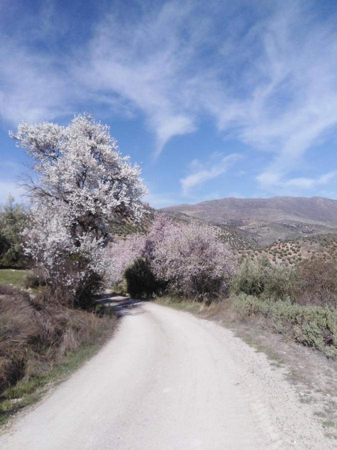 El Convento Vivienda Rural Jaen Andalucia Espana Carchelejo Ngoại thất bức ảnh